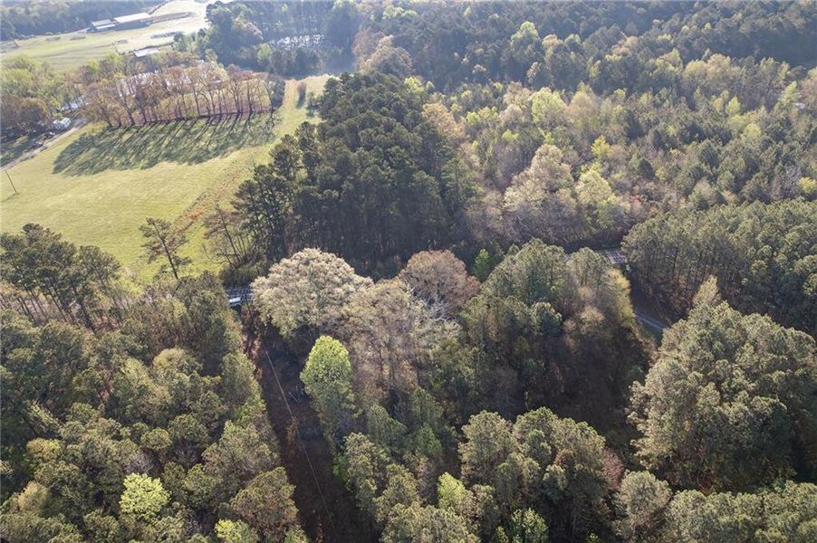 Natural landscape and outdoor views near  in Tallapoosa (Image 37).