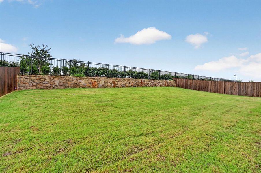 Backyard