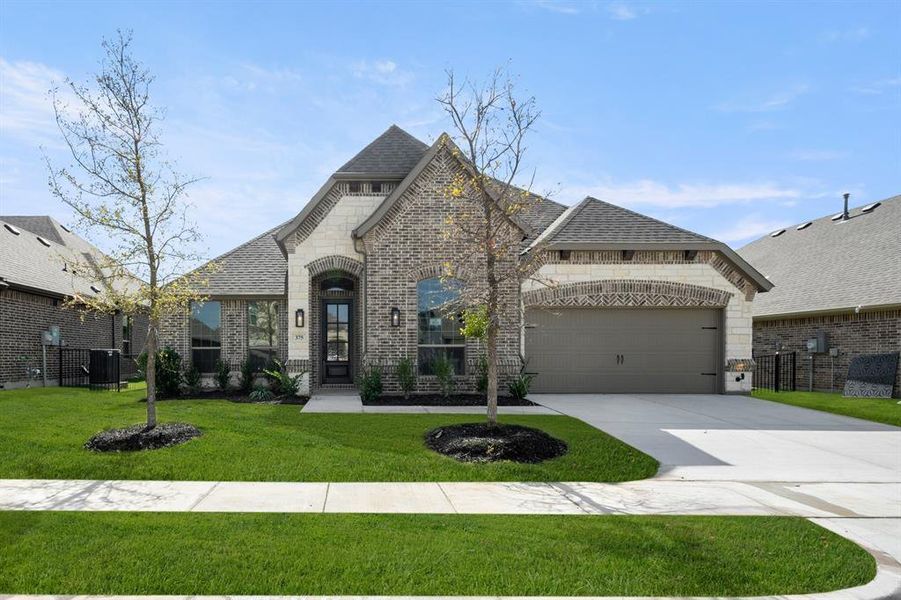 375 Paddle Boat- Front-1 375 Paddle Boat- Front-1