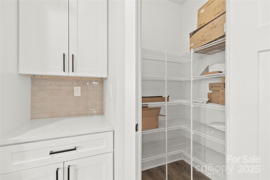 Large pantry with extra row of shelving.The countertop area can be a coffee station. It sits in between refrigerator and pantry