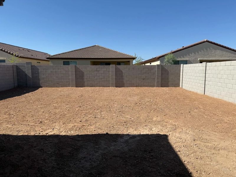 Backyard