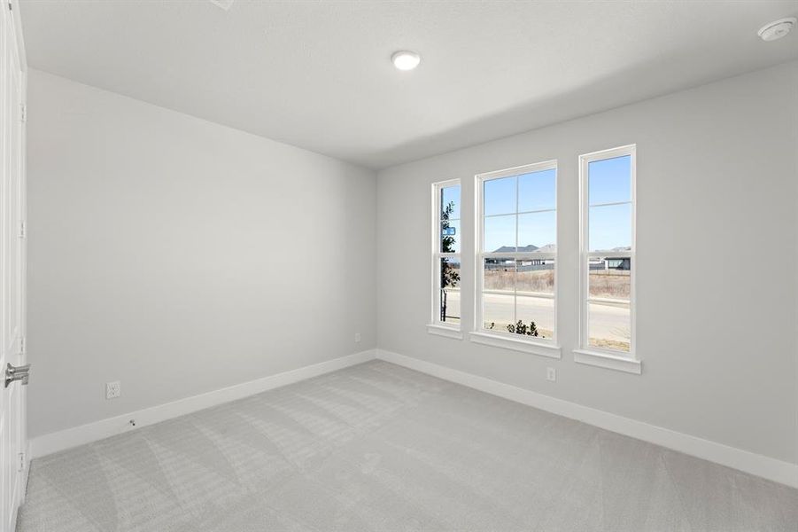 04. 500 Blue Yucca - Bed 2