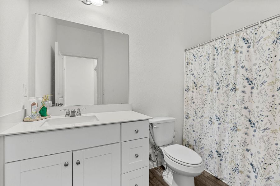 Bathroom featuring vanity, dark wood finished floors, and curtained shower Bathroom featuring vanity, dark wood finished floors, and curtained shower