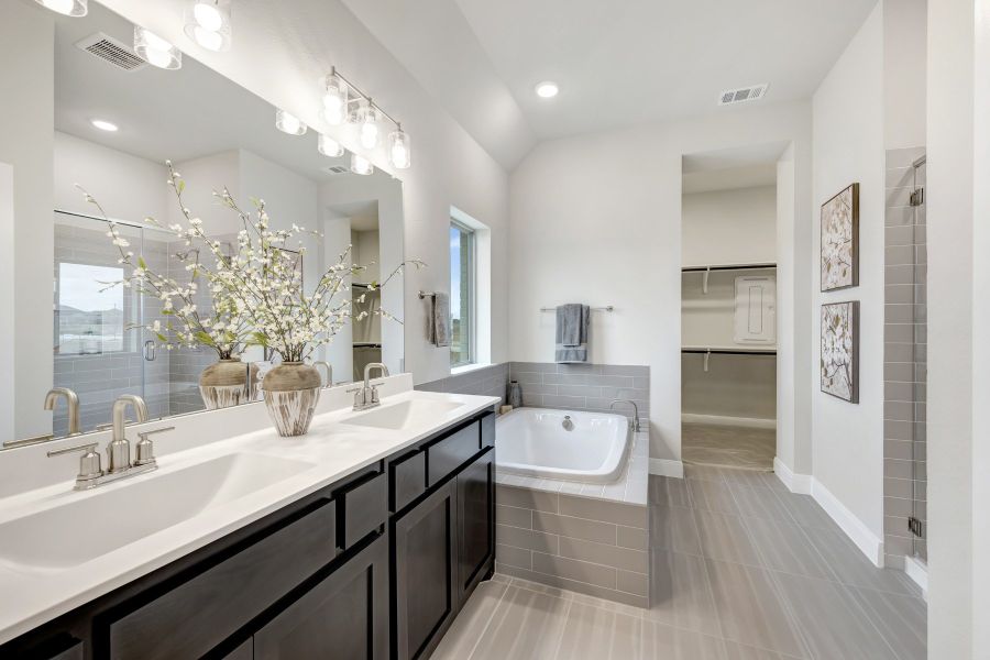 Owner's Bath Owner's Bath