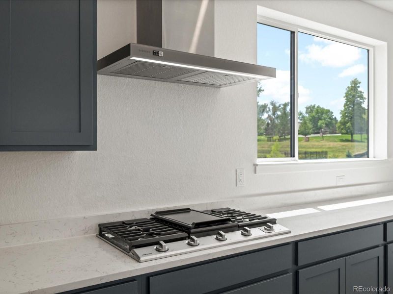 Close-up of interior finishes inside a home in Ascent at Inverness, Englewood (Image 12).