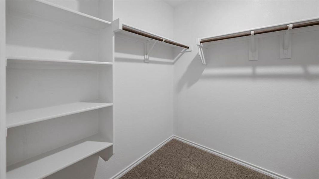 Spacious closet with dark carpet