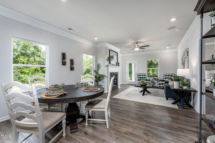 Representative Photo