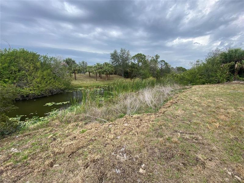 Natural landscape and outdoor views near  in North Port (Image 16).