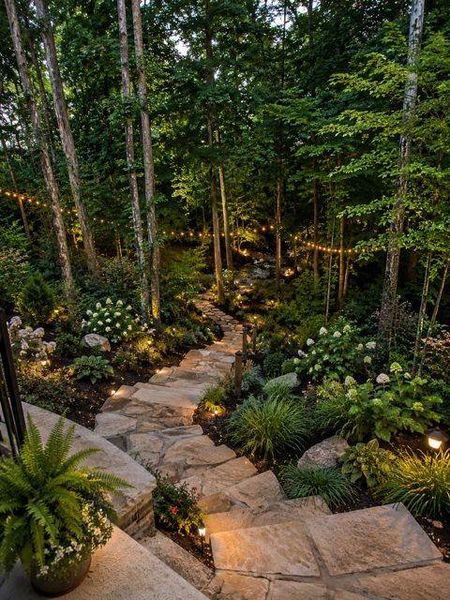 Natural landscape and outdoor views near  in Acworth (Image 65).