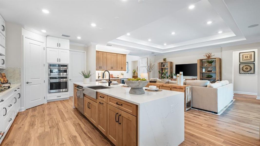 Furnished interior view inside a new home in Hammock at Two Rivers, Zephyrhills (Image 9).