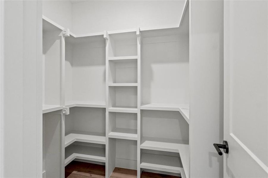 Walk in closet featuring hardwood / wood-style flooring