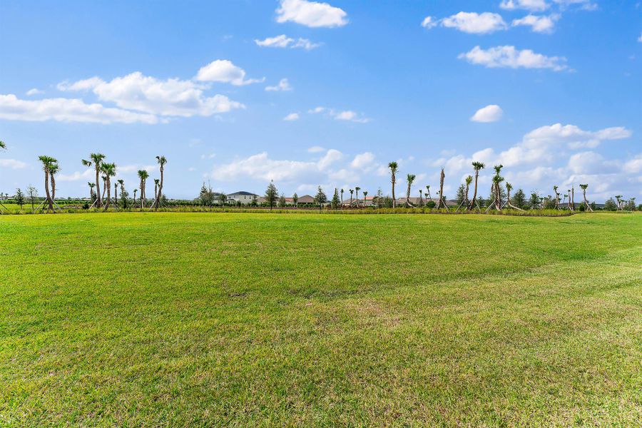 Natural landscape and outdoor views near in Port St. Lucie (Image 39). Natural landscape and outdoor views near in Port St. Lucie (Image 39).