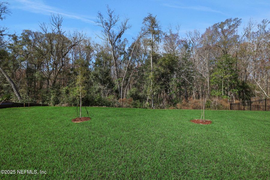 Natural landscape and outdoor views near TrailMark in St. Augustine (Image 60).