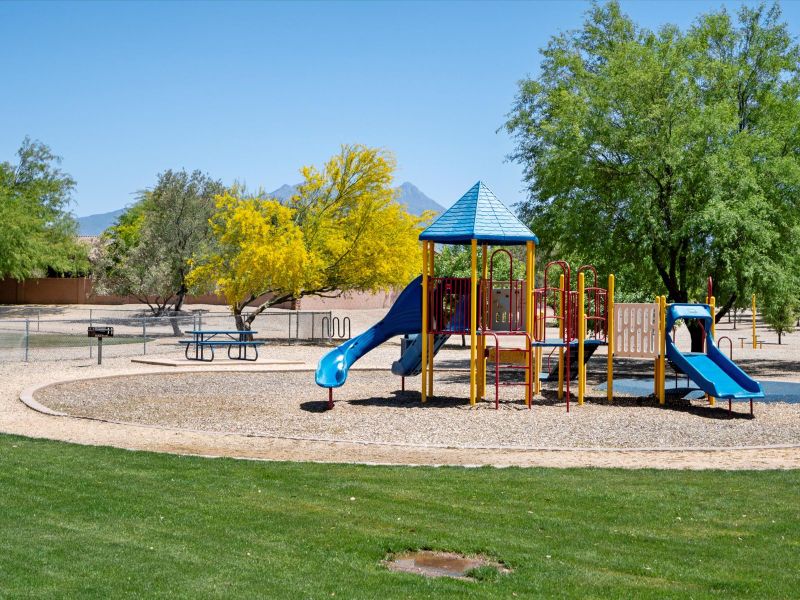 Community amenities in Arbor at Madera Highlands II, Sahuarita (Image 13).