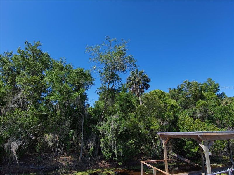 Natural landscape and outdoor views near  in Leesburg (Image 38).