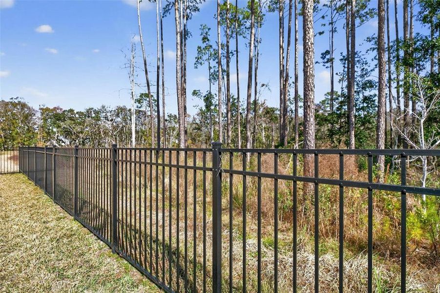 Community amenities in Trailmark, St. Augustine (Image 49).