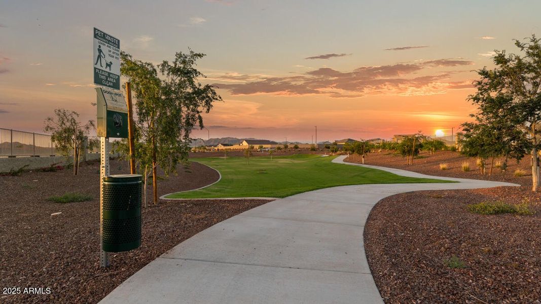 Community Photos_Copper Falls_Buckeye_AZ Community Photos_Copper Falls_Buckeye_AZ