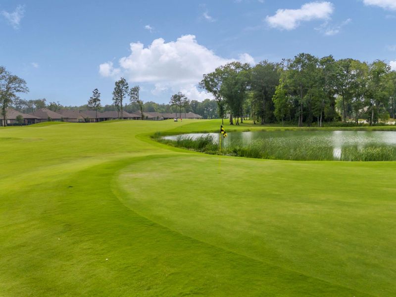Both the tees and the wide fairways of the 18-hole golf course are turfed in velvety Zoysia grass. Highland Pines is the first in the world to offer Lazer Zoysia putting surfaces.