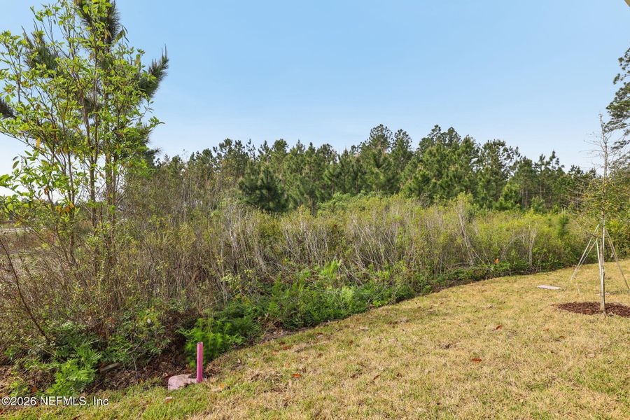 Natural landscape and outdoor views near Parkside at Shearwater in St. Augustine (Image 40).