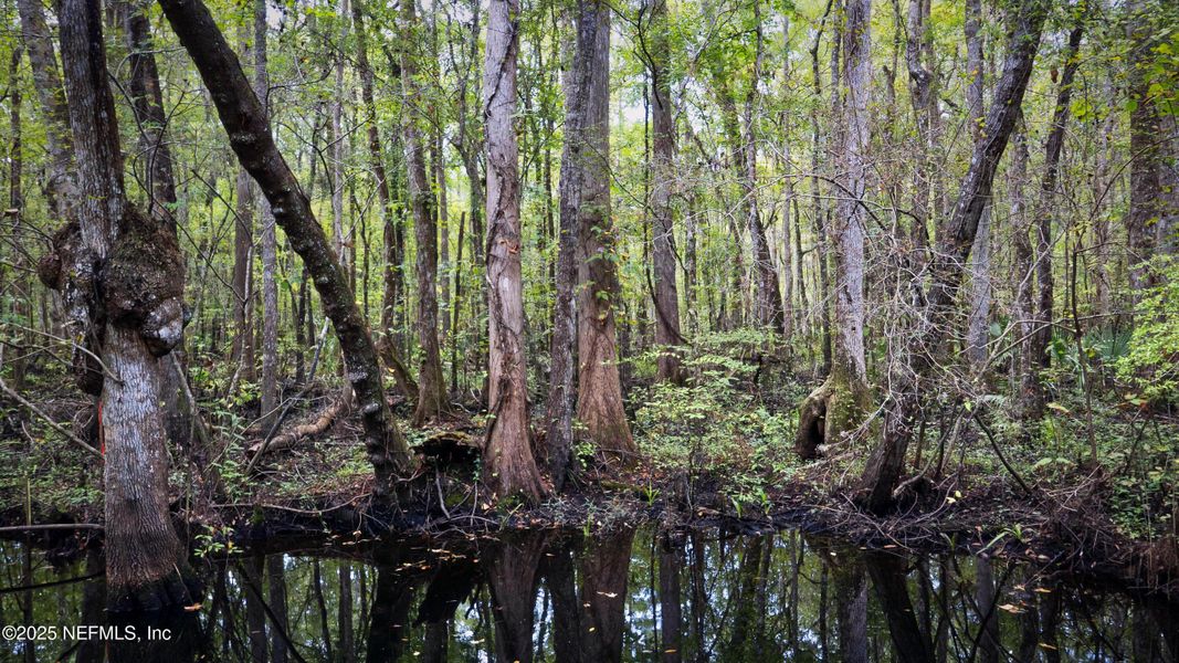 Natural landscape and outdoor views near Trailmark in St. Augustine (Image 47).