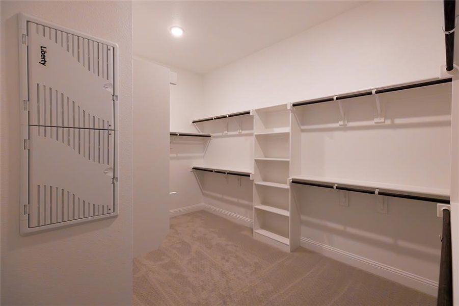 Spacious closet featuring light colored carpet