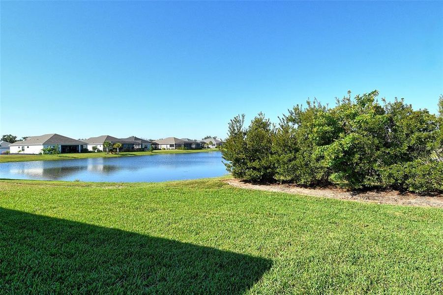 Natural landscape and outdoor views near Canoe Creek in Parrish (Image 44).