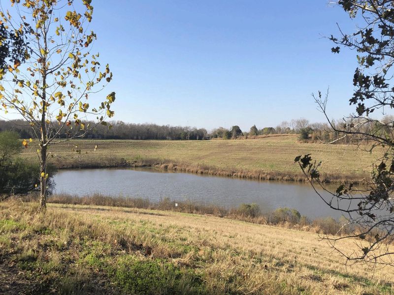 Scenic community lakes and green space located just behind the home, offering peaceful views and access to nearby walking trails.