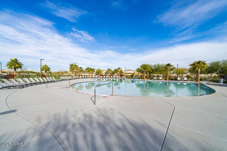 Community Photo Community Photo