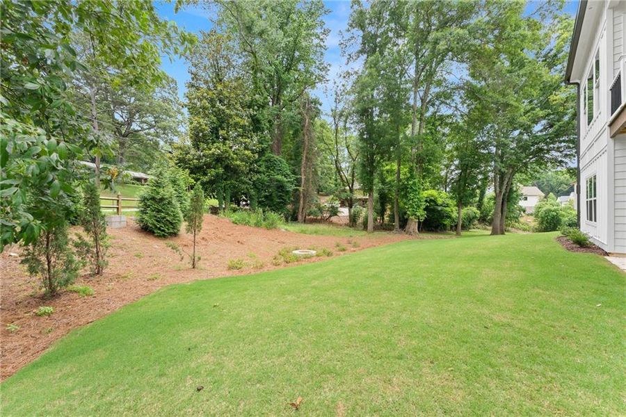 Natural landscape and outdoor views near  in Gainesville (Image 67).