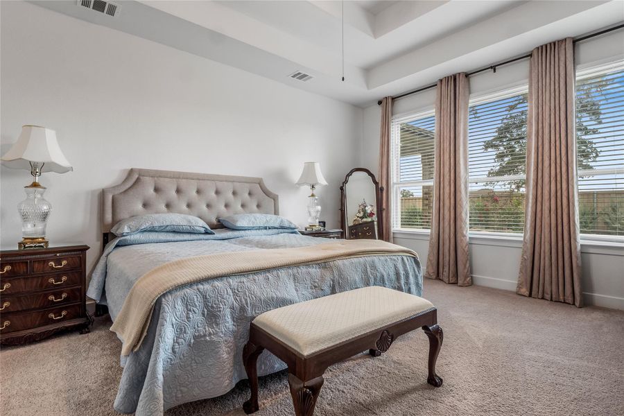 Primary Bedroom featuring light carpet and a tray ceiling Primary Bedroom featuring light carpet and a tray ceiling