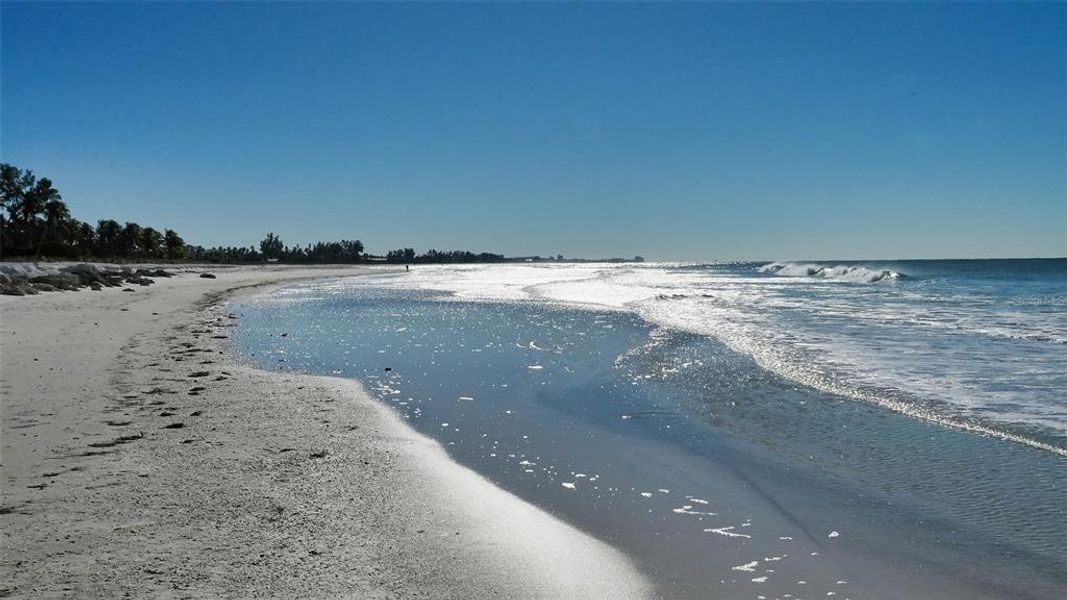 Natural landscape and outdoor views near  in Longboat Key (Image 50).