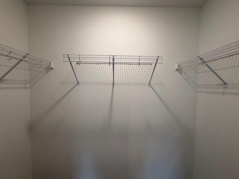 Primary Walk-In - Organized elegance with polished appeal.