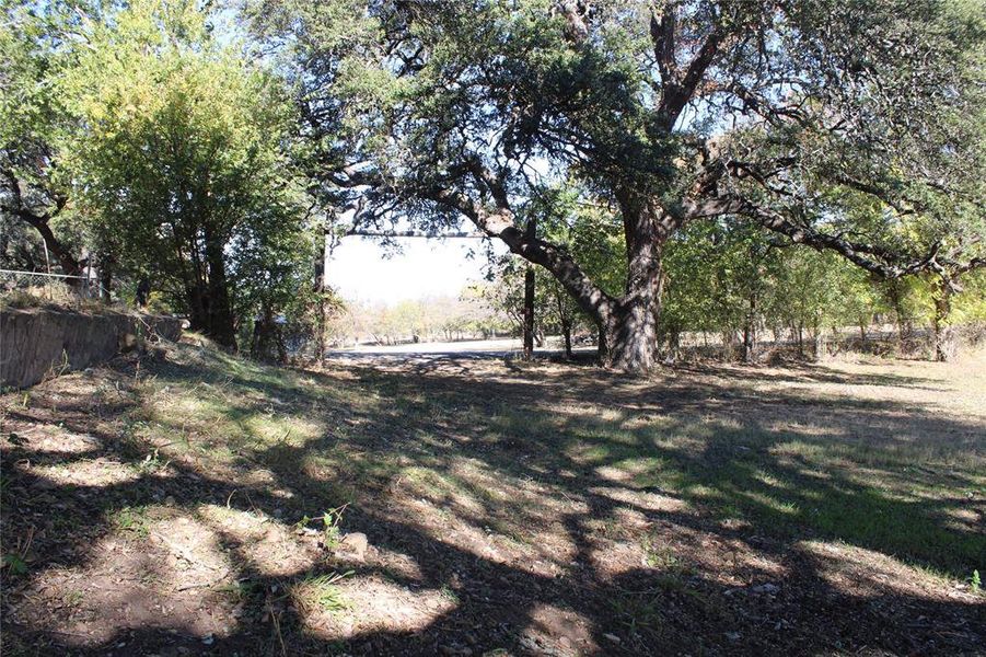 View of yard View of yard