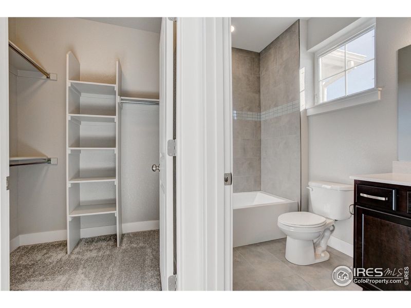 Furnished interior view inside a new home in The Lakes at Centerra - The Shores, Loveland (Image 13).