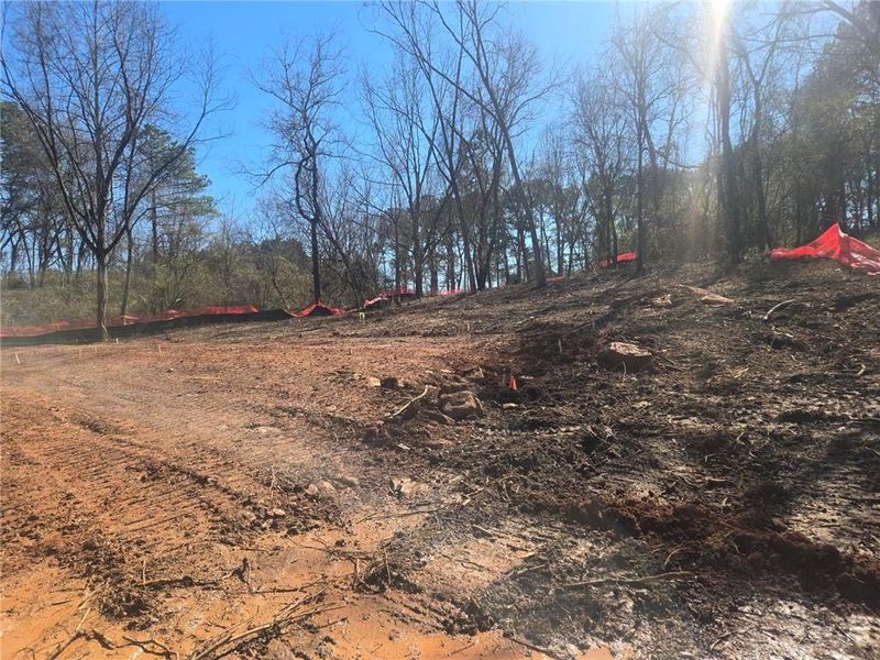 Site preparation for new homesites in Aster, Roswell (Image 37).