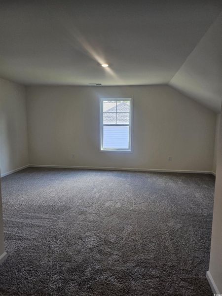 Carpet and walk in closet