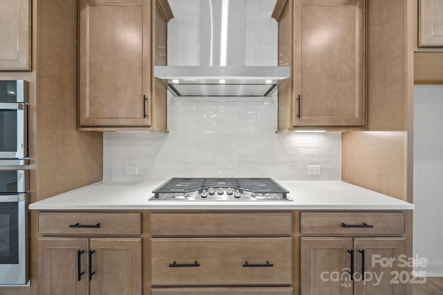 Close-up of interior finishes inside a home in Farms at Bellingham, Mooresville (Image 10).