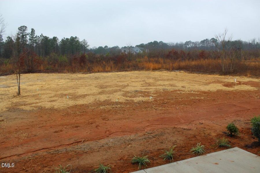 IMG_7349 (Medium) IMG_7349 (Medium)