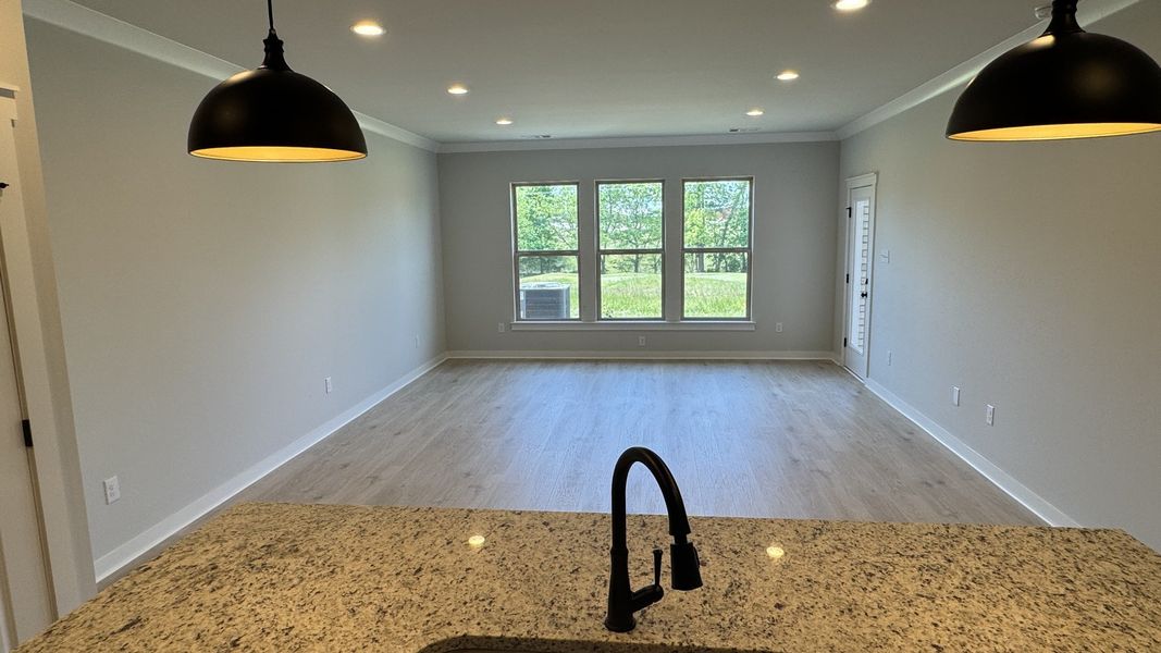 Close-up of interior finishes inside a home in The Greens at Legacy Townhomes, Springfield (Image 11).