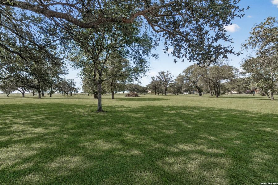 Natural landscape and outdoor views near  in Natalia (Image 37).