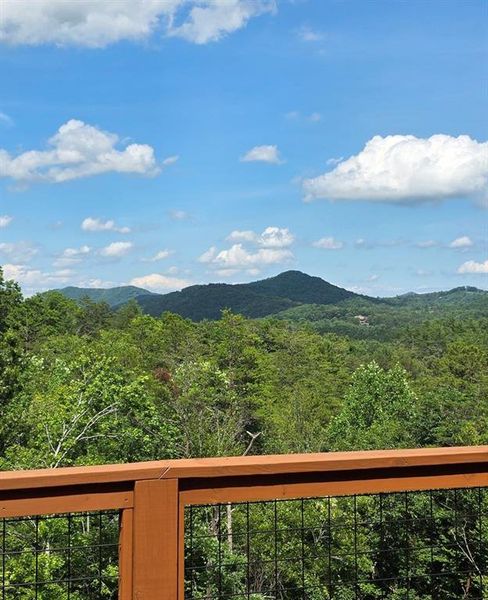 Natural landscape and outdoor views near  in Mineral Bluff (Image 35).