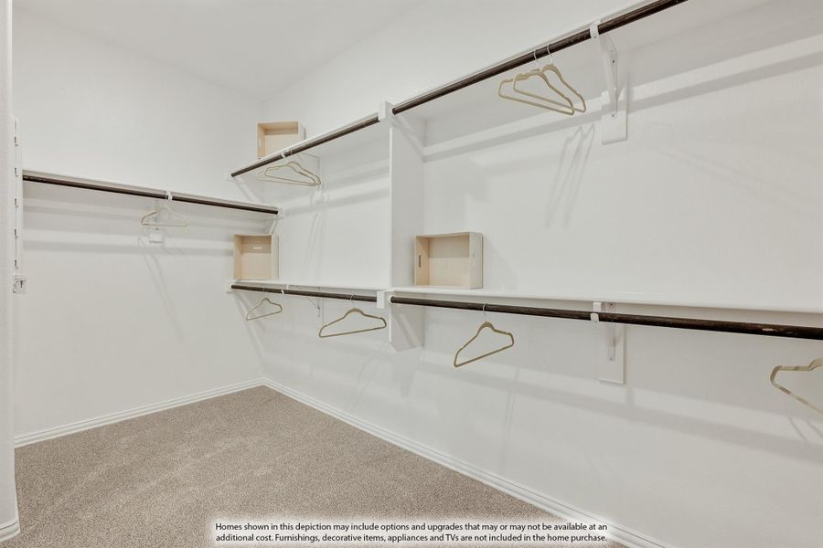 Walk-in closet with multiple hanging rods, white shelving, and carpeted floor Walk-in closet with multiple hanging rods, white shelving, and carpeted floor