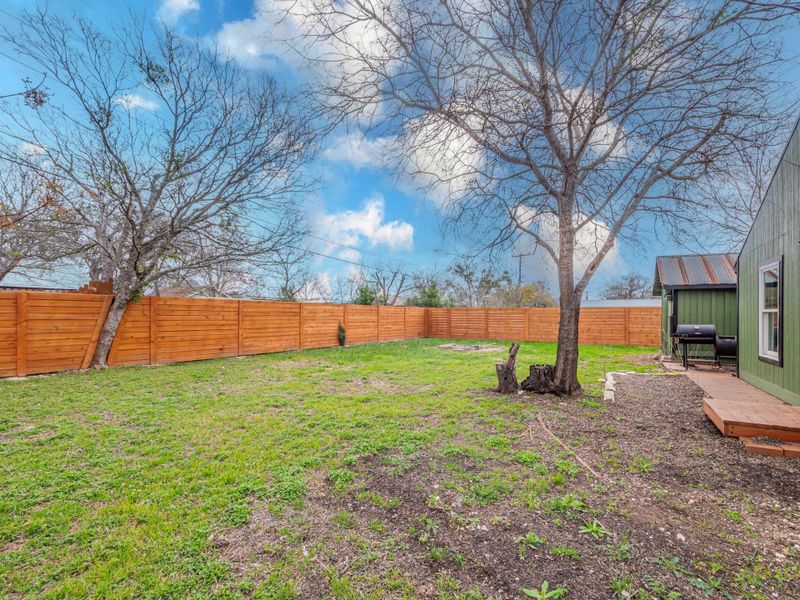 View of fenced backyard