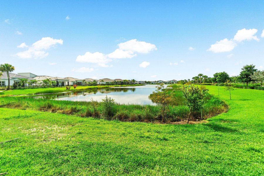 Natural landscape and outdoor views near  in Palm Beach Gardens (Image 34).