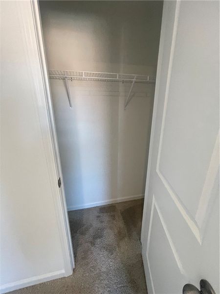 Spacious, unfurnished interior of a new home in Springwood Grove, Central (Image 43).