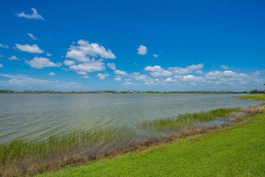 Natural landscape and outdoor views near  in Sarasota (Image 37).