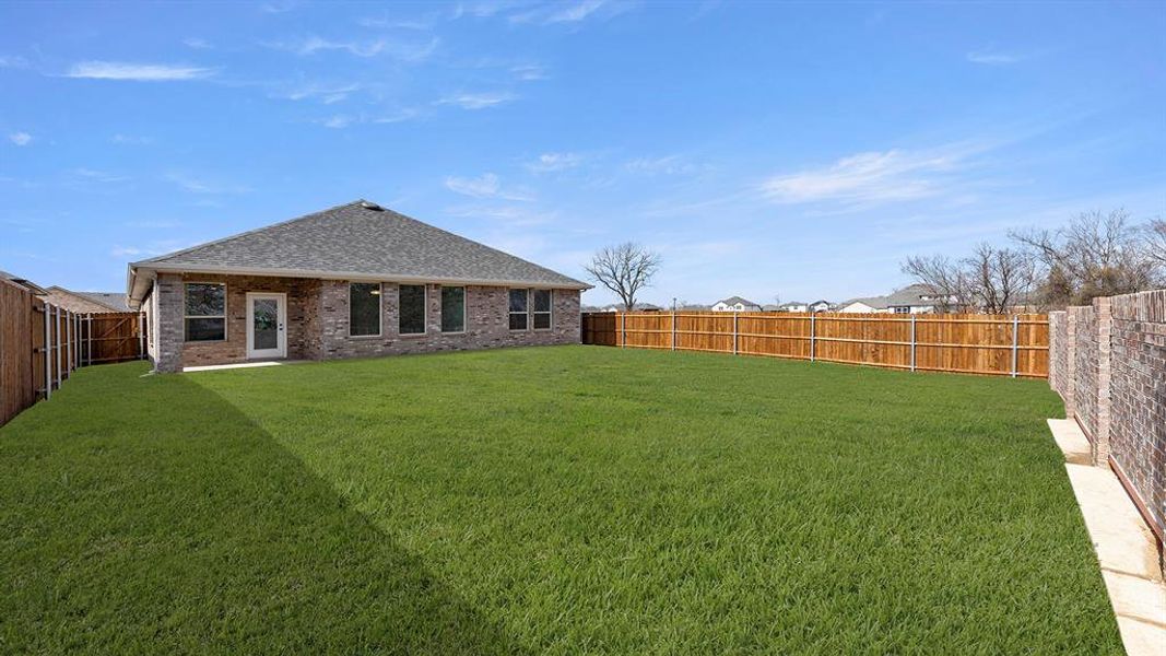 27. 2244 Sesaro - Back (2)