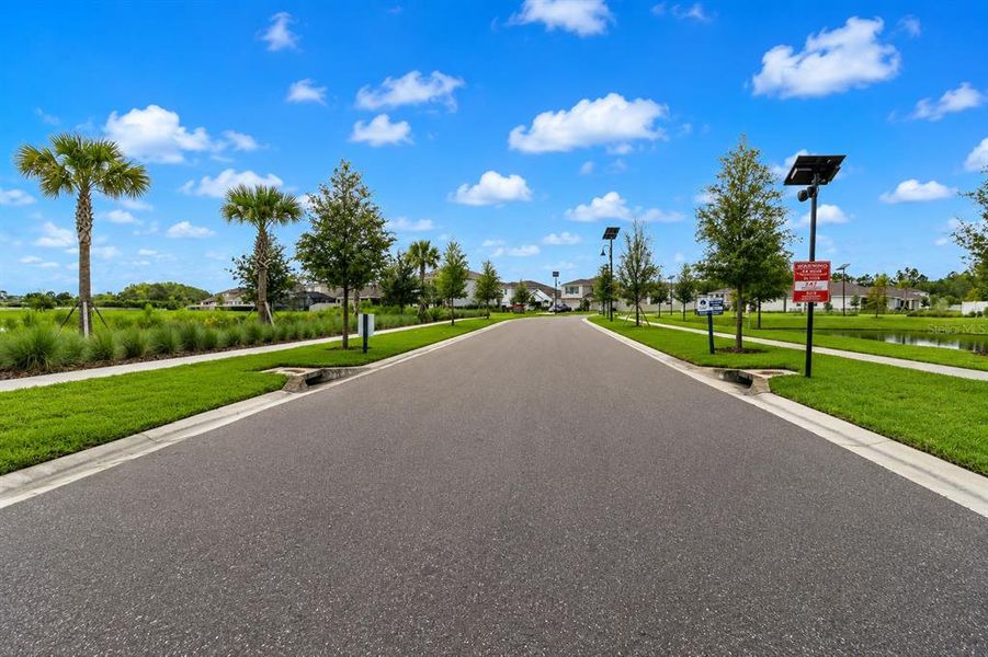 Community amenities in Deerbrook, Land O' Lakes (Image 38).