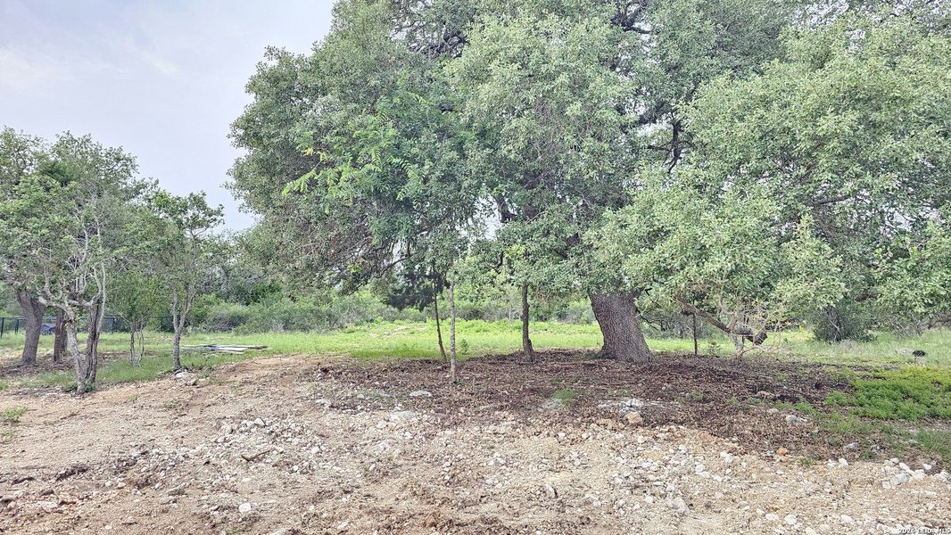 Natural landscape and outdoor views near  in New Braunfels (Image 66).
