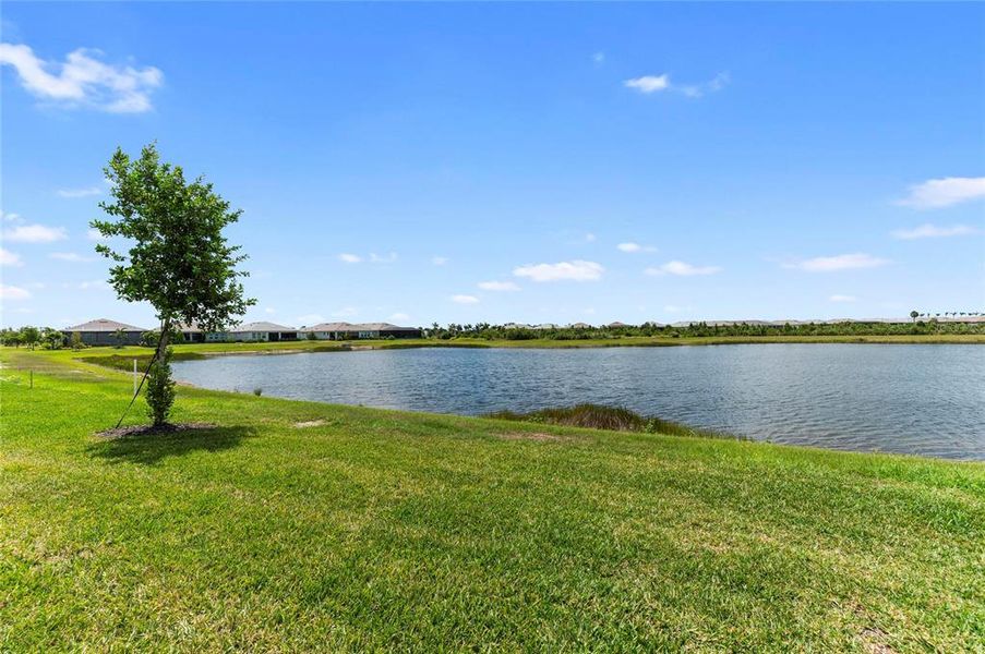 Natural landscape and outdoor views near  in Venice (Image 53).